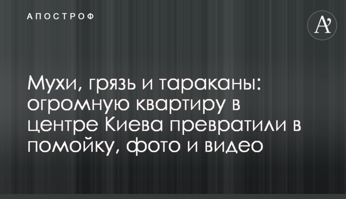 Мухи, бруд і таргани: величезну квартиру в центрі Києва перетворили на смітник, фото та відео