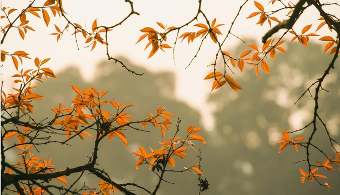 Одну половину України підморозить, другу – заллє: якою буде погода найближчими днями