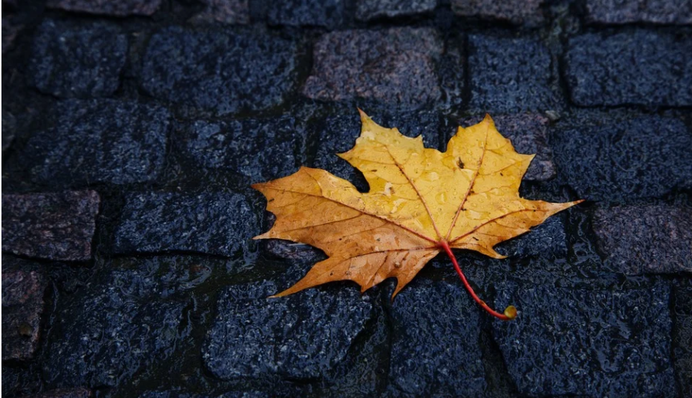 Коли у Києві закінчиться дощ: точний прогноз