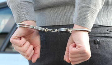 В Украине задержали еще одного создателя фейковой "Дии": видео