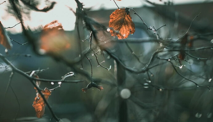 20 градусів тепла, дощі та не тільки: синоптик розповіла про різноманіття погоди 5 листопада