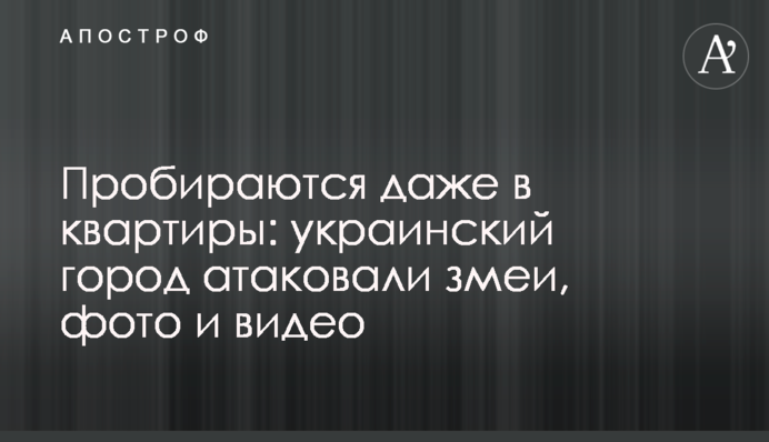 Пробираются даже в квартиры: украинский город атаковали змеи, фото и видео