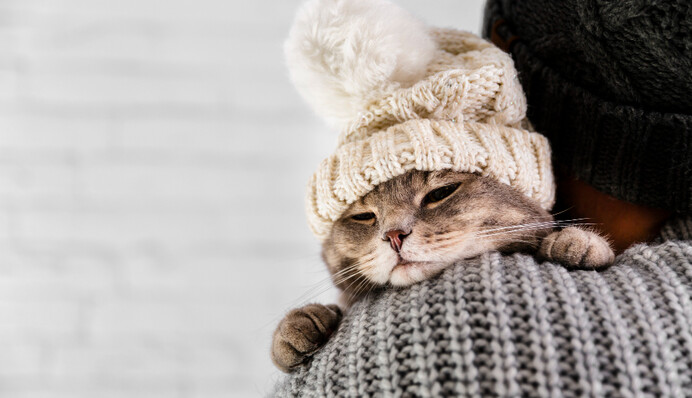 Грудень може здивувати українців: синоптик дав прогноз погоди на Новий рік