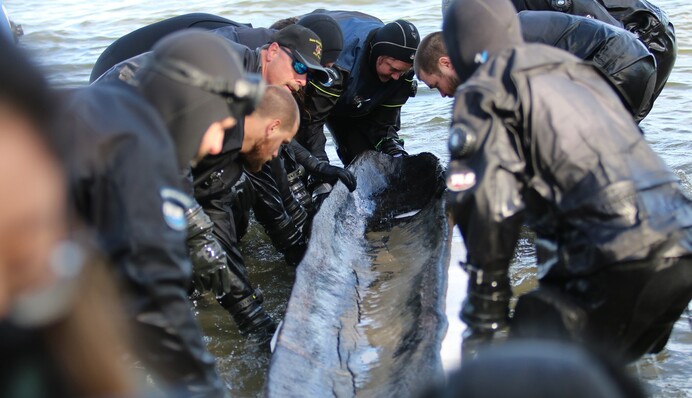 Археологи виявили на дні озера рідкісну знахідку, якій 1200 років: фото та відео