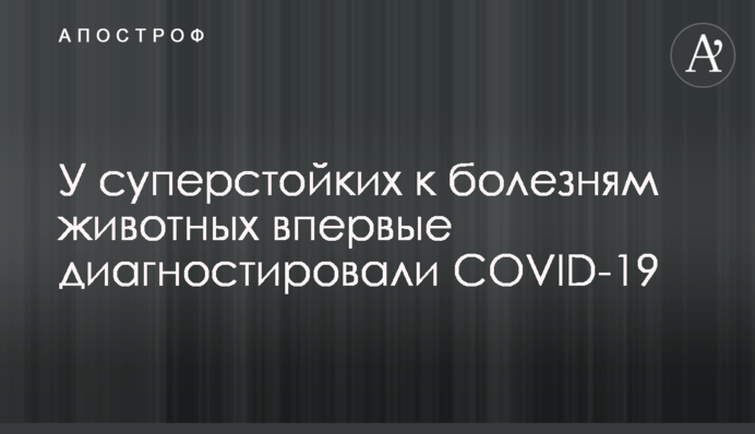 У суперстійких до хвороб тварин вперше діагностували COVID-19