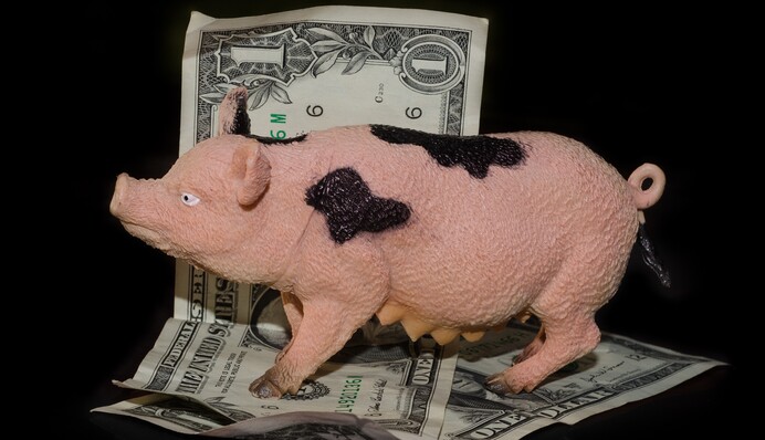 Названо п'ять найжадібніших знаків Зодіаку - буквально схиблені на грошах