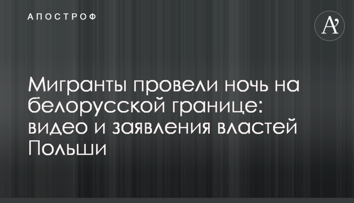 Poland blocks hundreds of illegal migrants at Belarus border: security forces use tear gas against migrants
