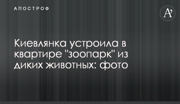 Киевлянка устроила в квартире 