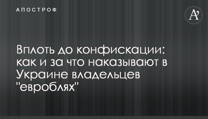 Аж до конфіскації: як і за що карають в Україні власників 