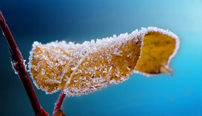 Морозы в Украине усилятся: где температура упадет до -10 градусов