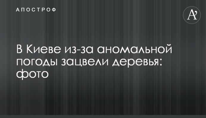 В Киеве из-за аномальной погоды зацвели деревья: фото