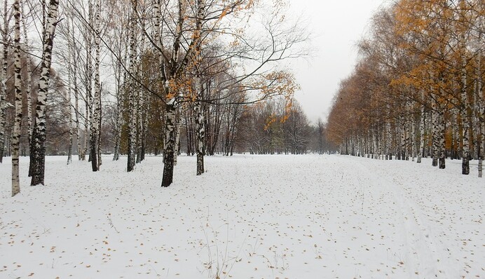 Вдарить сильний мороз: синоптики дали прогноз на 11 листопада