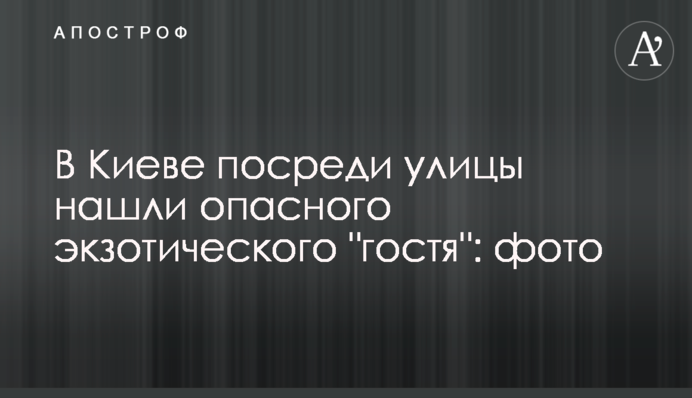 В Киеве посреди улицы нашли опасного экзотического 
