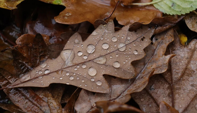 "Минусов" станет меньше: синоптик рассказала о погоде на выходных