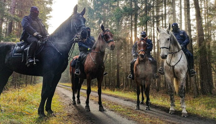 Поляки подтянули на границу с Беларусью серьезное подкрепление: фото и видео