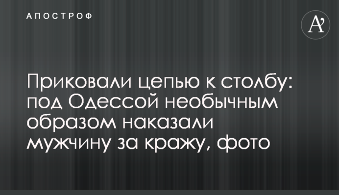 Приковали цепью к столбу: под Одессой необычным образом наказали мужчину за кражу, фото