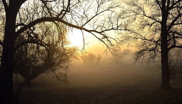 Київ накрив густий туман – видимість мінімальна: відео