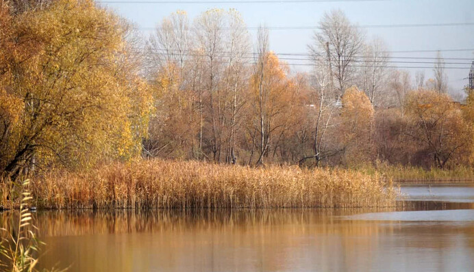 Зеленый Киев: жители инициируют новый парк у озера Тяглое на Осокорках