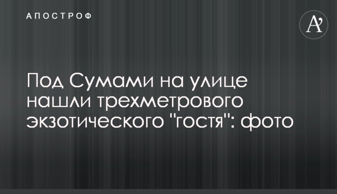 Під Сумами на вулиці знайшли триметрового екзотичного 