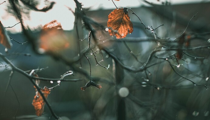 В Україні запанують холоди з дощами: синоптики дали прогноз на тиждень