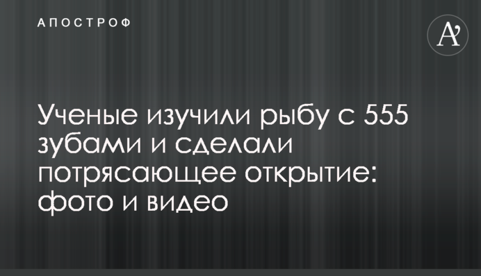 Вчені вивчили рибу з 555 зубами та зробили приголомшливе відкриття: фото та відео