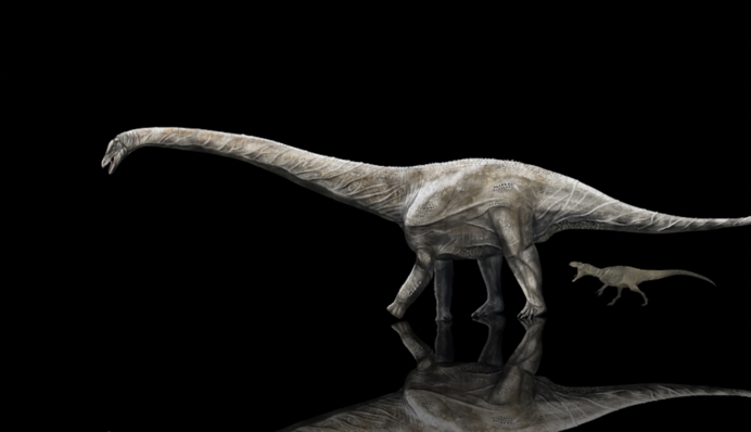 Жил 150 млн лет назад: ученые показали суперзавра, размером с 13-этажный дом