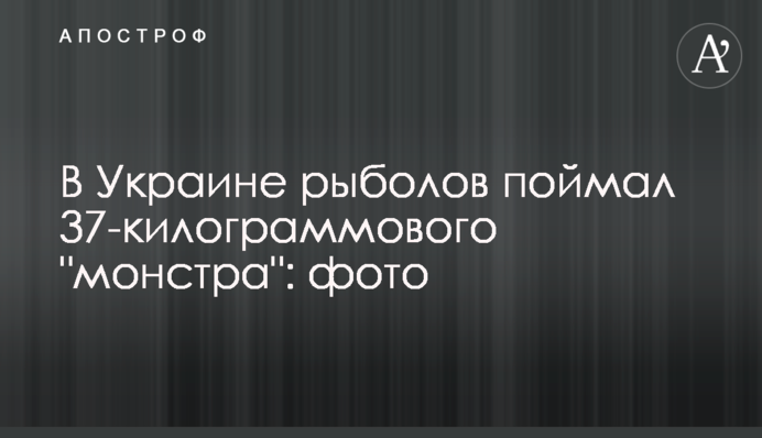 В Украине рыболов поймал 37-килограммового 