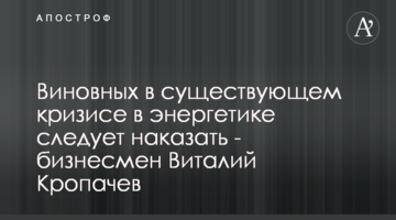 Виновных в существующем кризисе в энергетике следует наказать - бизнесмен Виталий Кропачев
