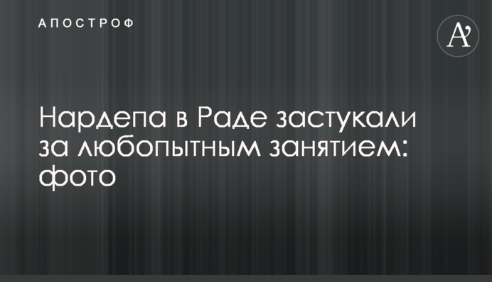Нардепа у Раді застукали за цікавим заняттям: фото