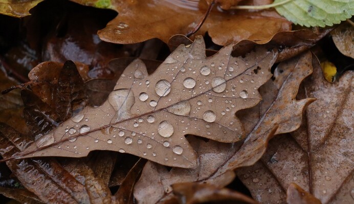 На вихідних на Україну чекає несподіване потепління, але з неприємним "сюрпризом"