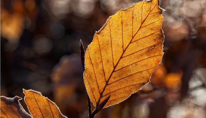 После снега - дождь и солнце: синоптики рассказали о погодных 