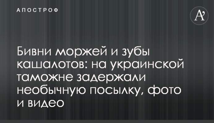Бивні моржів та зуби кашалотів: на українській митниці затримали незвичайну посилку, фото та відео