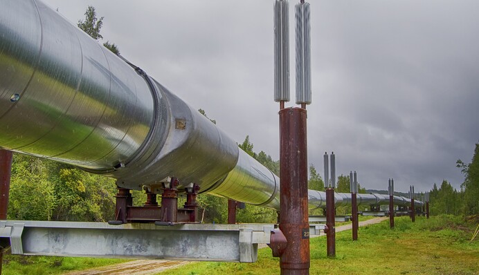 Под Сумами произошел разлив нефти из-за аварии на нефтепроводе: фото