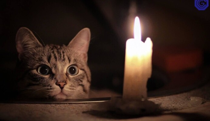 Чому українці часто сидять без світла і чи будуть віялові відключення: влада дала відповідь