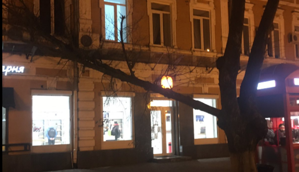 По Украине пронесся мощный ураган - деревья ломались, как спички: фото и видео