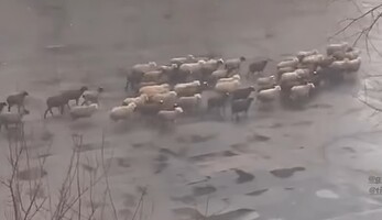 Так виглядає 