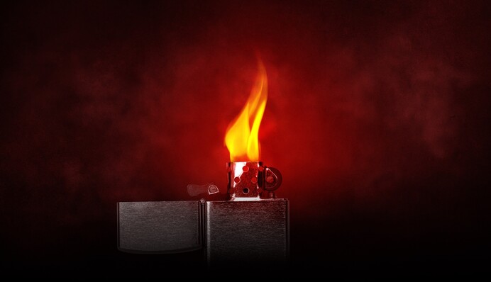 Під Одесою згоріла овечий загін: у вогні загинуло понад 160 тварин