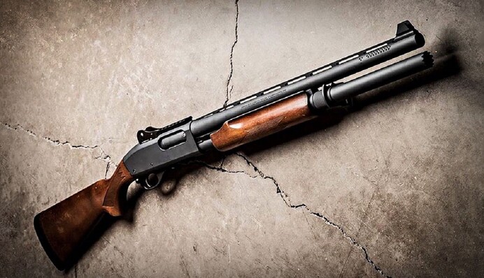 Криваве полювання: українець підстрелив бабусю із 7-річною онучкою