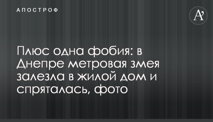 Плюс одна фобия: в Днепре метровая змея залезла в жилой дом и спряталась, фото