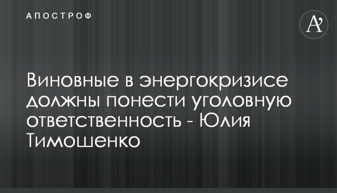 Винні в енергетичній кризі мають понести кримінальну відповідальність - Юлія Тимошенко