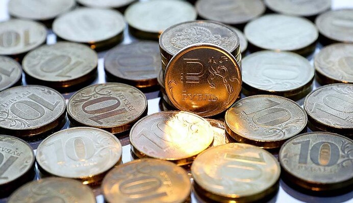 В Украине вводят в оборот 