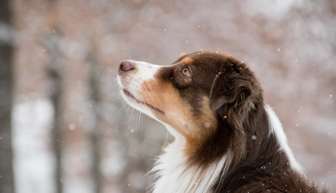 То дощ, то сніг: українців попередили про погодні 
