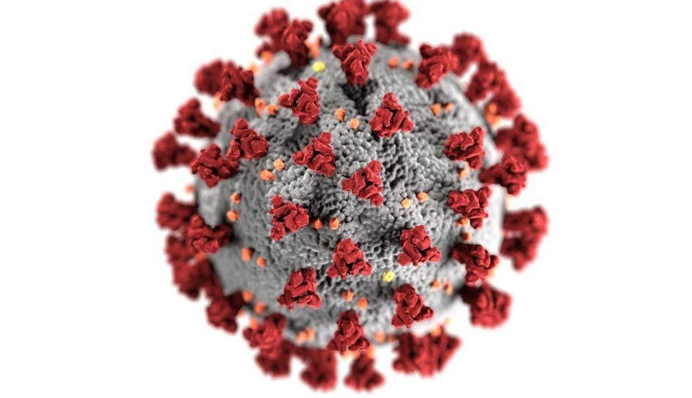 В Украине свыше 14 тысяч новых случаев COVID-19 за сутки: статистика на 27 ноября