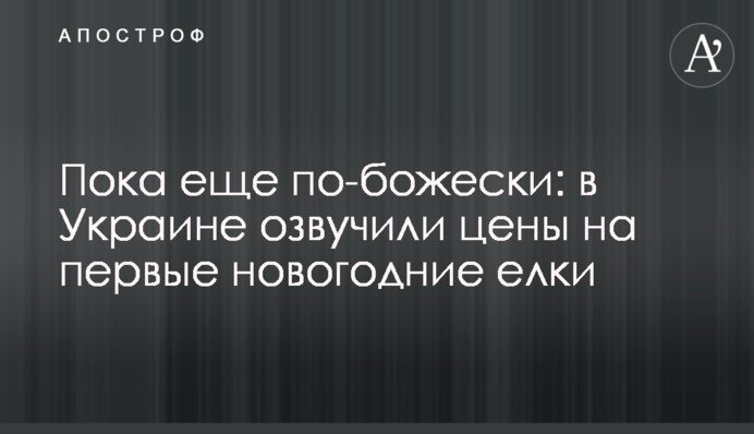 Пока еще по-божески: в Украине озвучили цены на первые новогодние елки