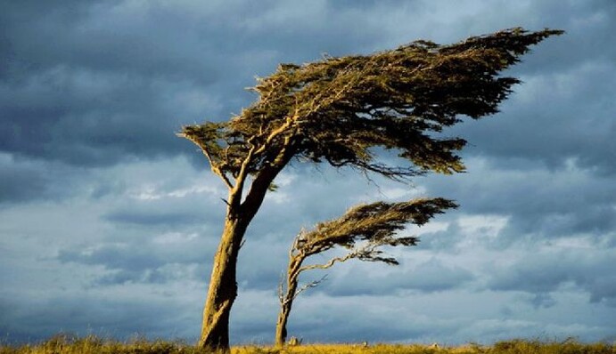 Краще залишатися вдома: в Україні знову вируватиме негода