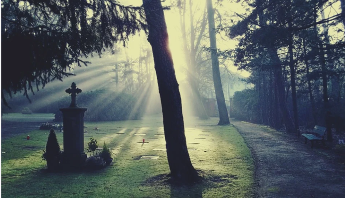 Алкоголь, екстрим та суїцид: як знаки Зодіаку доводять себе до смерті