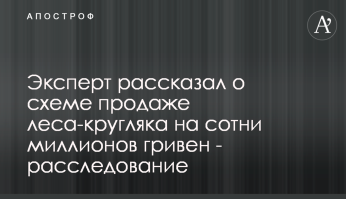 Эксперт рассказал о схеме продаже леса-кругляка на сотни миллионов гривен - расследование