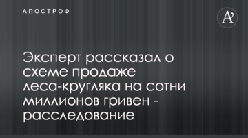 Эксперт рассказал о схеме продаже леса-кругляка на сотни миллионов гривен - расследование