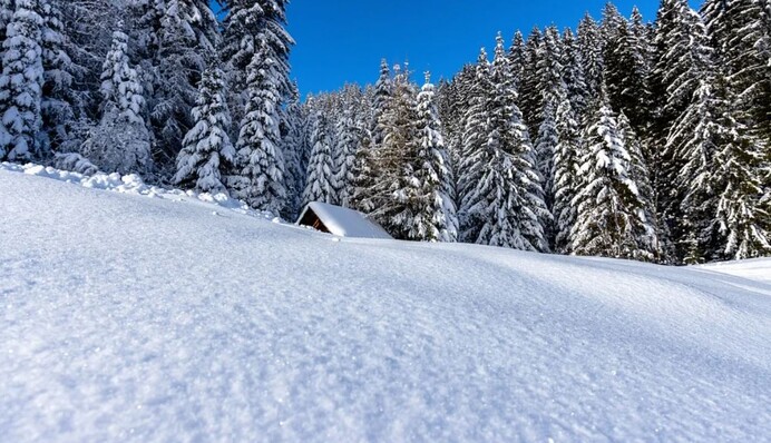 Різке похолодання і сніг з дощем: якою буде погода на вихідних