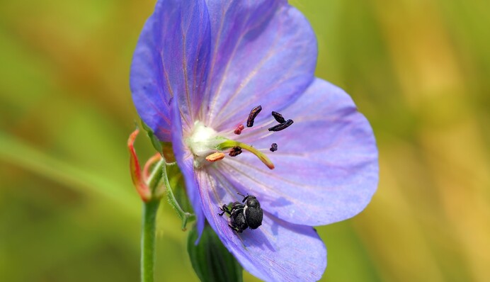 Козерогам загрожують невдачі, а Терезам - конфлікти: гороскоп від Павла Глоби на 3 грудня
